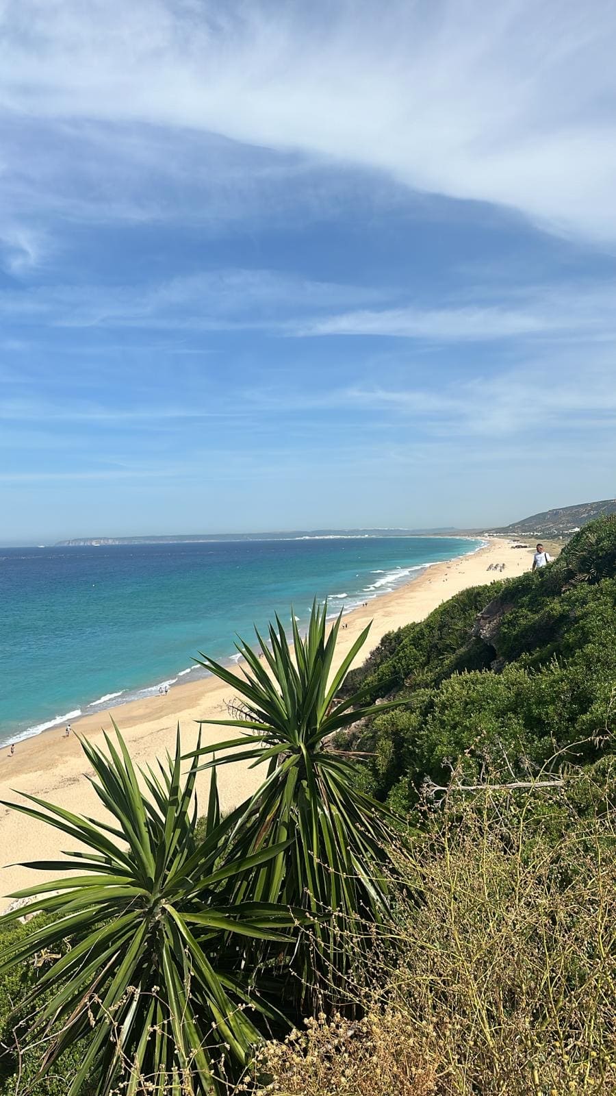 34200da1cd464911da8b12dd11b8586adeacf86c (1)